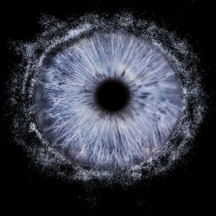 Photographie haute définition d’un iris bleu