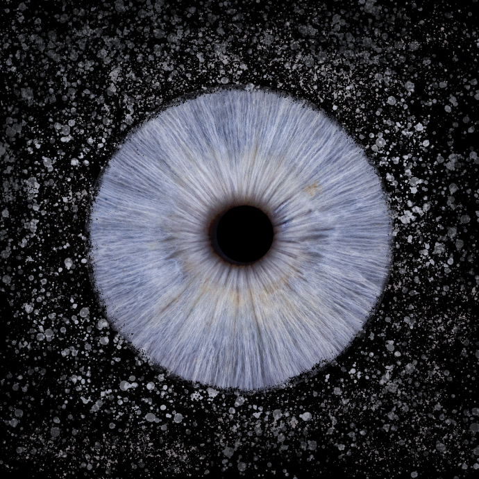 Photographie artistique d’un iris bleu clair